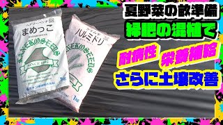 【緑肥】の使い方｜ 野菜と混植で病気を防ぎ水捌け向上ふかふかキープ