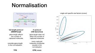 3rd scanpy session - Normalisation, Batch correction, Highly variable Genes, Embeddings