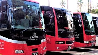 西工製観光バス🚍指宿を走る Sightseeing buses made by Nishiko ran in Ibusuki