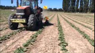 Andweeder™ the mechanical non-chemical inter-plant weeder for crops