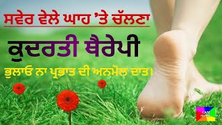 ਘਾਹ 'ਤੇ ਸਵੇਰ ਦੀ ਸੈਰ : ਕੁਦਰਤੀ ਥੈਰੇਪੀ | By Care Share | #morning #walking #facts