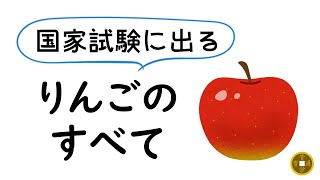 管理栄養士国家試験に出る「りんご」のすべて