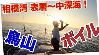 相模湾 ジギング＆キャスティングで表層から中深海まで遊ぶ！いきなりの大物シイラに鳥山、ボイル、オニカサゴと大忙し！ 8月の釣り