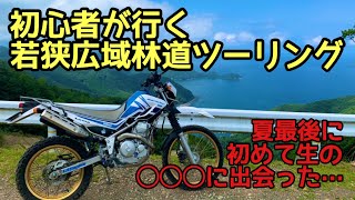 【若狭広域林道】第11回　関西　初心者　林道ツーリング