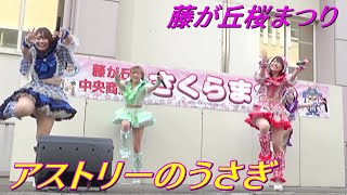 アストリーのうさぎ⑤/藤が丘桜まつり/藤が丘駅リニモス広場【アイドルライブ】Japanese idol live