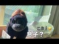 入居5年目🏠｜4人暮らし 子供 高1👱🏻‍♀️中3👦🏻 ルームツアー｜傷や汚れは⁉️｜リアルをお届け✈️