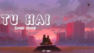 TU HAI | Slowed Reverb | A.R.Rahman - Sana Moidutty | Indian lofi songs