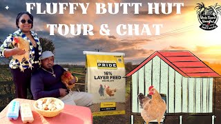 What You Should Know Before Raising Backyard Chickens | Tractor Supply Chicken Feed