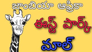 జాంబియా ఆఫ్రికా ఈస్ట్ పార్క్ మాల్