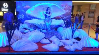 flute Mermaid/Flute mermaid In Delhi,Mumbai ,Goa Hyderabad For wedding  Call-9540033330