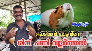 gini panni rate malayalam|hamster pet malayalam|gini panni malayalam|gini panni farm in malayalam