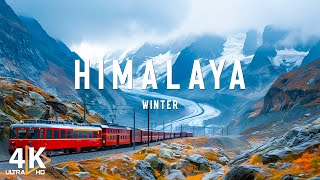 Winter In Himalaya ❄️ Snowy Peaks and Winter Adventures in the Himalayas - VIDEO 4K UHD