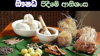 ඖෂධ පූජාවේ අනුහස් සහ පූජාවට සකස් කරගැනීමට හැකි ක්‍රම