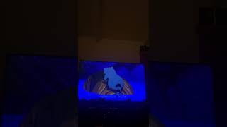 Pocahontas Meeko And Flit