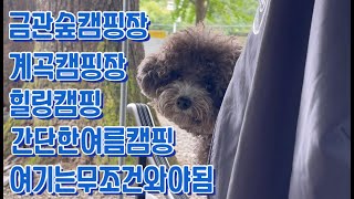 [캠핑vlog]금관숲캠핑장/계곡캠핑장/청주캠핑장/애견동반캠핑