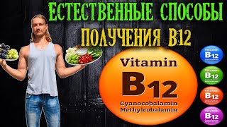 Естественные способы получения витамина B12 | веганство, сыроедение