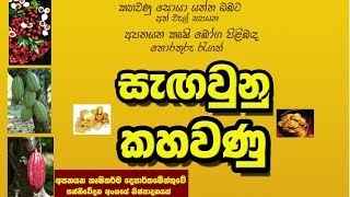 Department of Export Agriculture - ඉඟුරු වගාවෙන් කෙටිකලකින් වැඩි ආදායමක් -2014 March 28