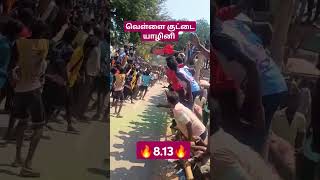 வெள்ளை குட்டை யாழினி 🔥8.13🔥மூன்றாவது பரிசு 🔥ஏரி குத்தி வீதி