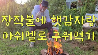 장작불에 햇감자와 마시멜로 구워먹기!!!