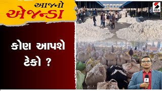 આજનો એજન્ડા : કોણ આપશે ટેકો ? | Marketing Yard | Farmers | Gujarat