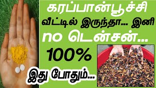 2 பொருள் தான் இனி வீட்டில் கரப்பான்பூச்சி தொல்லை இருக்காது | How to control cockroach at home Tamil