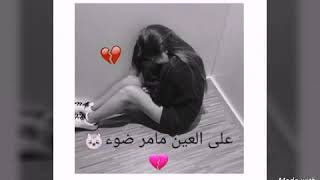 سيف نبيل خنكني حتة لهوة💔