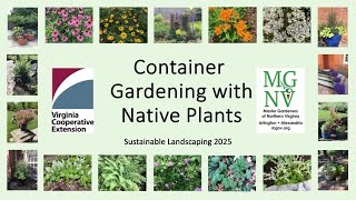 Container Gardening with Native Plants