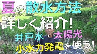 畑の散水方法　詳しく紹介！　井戸水　太陽光発電　小水力発電を使う