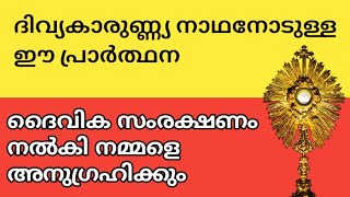 ദൈവിക സംരക്ഷണം ലഭിക്കുന്ന ശക്തമായ പ്രാർത്ഥന | Marian grace prayers | Christian malayalam prayers