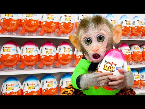 Are monkeys allowed to eat chocolate?
