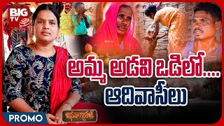 Tribal Issues In Forest  | అమ్మ అడవి వడిలో.... ఆదివాసీలు | Janatha Garage | BIG TV Telugu