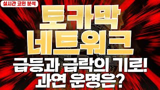 토카막네트워크 : 급등과 급락의 기로! 과연 운명은?