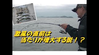 【海釣り情報】海が荒れる前はよく当たりがある伊勢湾！？