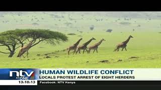 Human Wildlife Conflict  KWS and herders in Chyulu hills Kajiado County at loggerheads