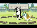 【小朋友學英語】 妙妙犬布麗｜bluey ｜ep35 let s play circus ｜learn english from bluey ｜兒童歡樂頻道