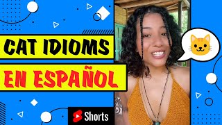 Learn Idioms in Spanish (with Cats) 🐱👀  Modismos en Español