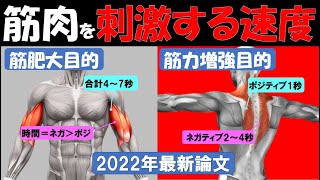 【最新科学】筋力増強・筋肥大効果を最大化させるリフティングテンポ（運動速度）　~筋力トレーニングの反復速度を科学する~