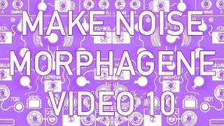 Make Noise - Morphagene #10 - Anthony Baldino Freesound Reel #MorphageneMondays