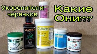 Укоренители черенков-Какие они????