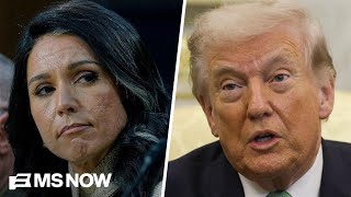 Who is likely to replace Gabbard as DNI? Panel breaks down the significance of the position