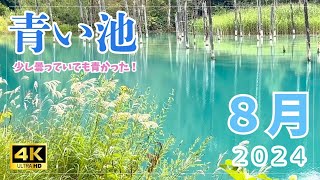 【40\u002650代：北海道移住vlog #21】美瑛観光シリーズ⑦｜青い池｜白ひげの滝《４K》