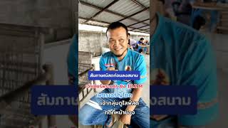 สัมภาษณ์สดเสี่ยยะก่อนลงสนาม ซุ้มเพชรเจริญโชค เจ้าเยียร์พระนคร ชิง 10.2 M สนามไก่ทองอินเตอร์