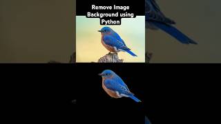Remove Image Background in Seconds with Python | rembg Tutorial 🚀 #Python #Shorts #AI #shorts #ml
