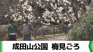 成田山公園　梅見ごろ　千葉（2024.02.20放送）