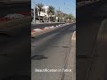 street beautification in tabuk saudi arabia shorts streetbeautification