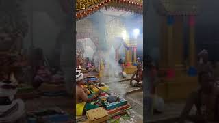 palani kovil kumbabishekam pooja# shorts.  பழனிமுருகன் கோவில் கும்பாபிஷேக யாகசாலை பூஜை.