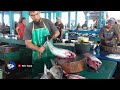 Atraksi Luar biasa Bang Fadil dengan  Golok Tajam Menakjubkan  Potong Ikan Tuna Dua Ekor