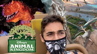 RIDING EVERY RIDE AT DISNEY'S ANIMAL KINGDOM! (THE BEST STRATEGY)