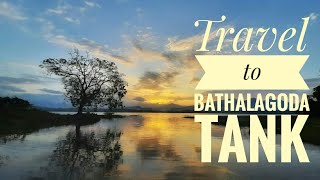 Bathalagoda Tank | Ibbagamuwa || Travel in Sri Lanka with Januki || Episode 01 | Januki Wijekoon