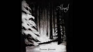 Alcest - La mort plane sur ces contrées glacées